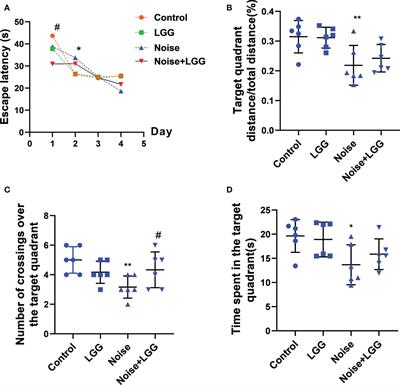 Lactobacillus rhamnosus GG ameliorates noise-induced cognitive deficits and systemic inflammation in rats by modulating the gut-brain axis